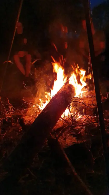 Luimoos 2019 · Foto 72