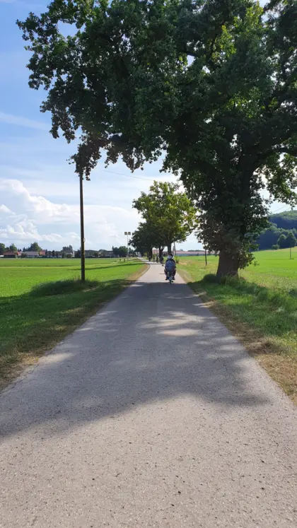 Ausgrissn · Foto 5