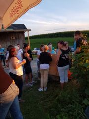 IMG-20170723-WA0007
