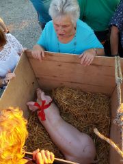IMG-20170723-WA0009