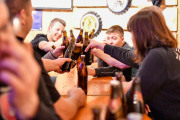 ZFM-028